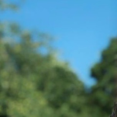 Соня Мацюк, 02.07, Nasva