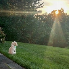 Bayan Khozhali, 24.02.1989
