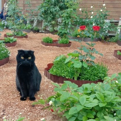 Татьяна Аксютина, 10.07