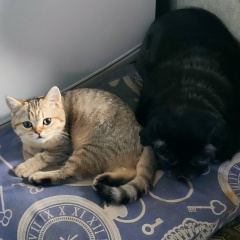 Николай Витвицкий, 13.09