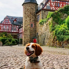 Акбота Рустембекова, Hannover