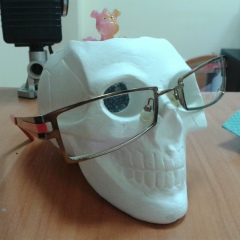 Катя Zetka, 08.05, Львов