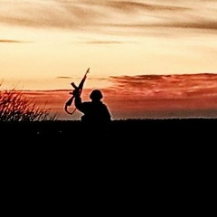 Аэлита Майорова, 29.12.1985, Санкт-Петербург