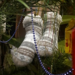 Анна Соколова, 05.12.1982, Орёл