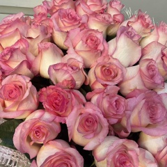 Екатерина Астанина, 22.02.1989, Алматы