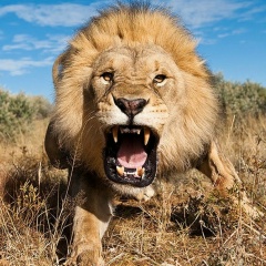 Артур Худоян, Москва