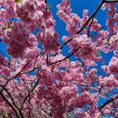 Кирилл Казаков, 21.07, Санкт-Петербург