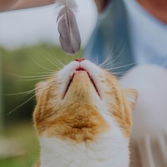 Марина Щербакова, 11.08, Самара