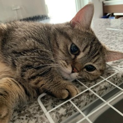 Анастасия Серова, 07.06.2002