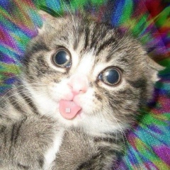 Лев Константинов, 17.02, Мурманск