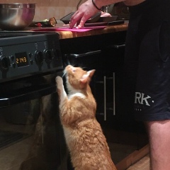 Алексей Колбик, 11.01.1989, Минск