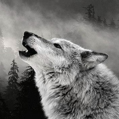 Умар Акаев, 24.05, Волгоград