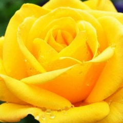 Шынар Абилова, 02.06, Экибастуз