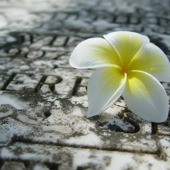 Мага Цингиев, 02.03.2000, Грозный