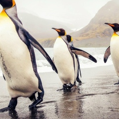 Hein Zaw, 12.10.1984