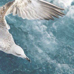 Татьяна Самошкина, 28.03.1985, Фрязино