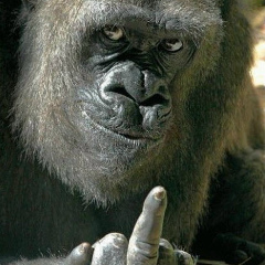 Еркен Мухаметов, 24.09.1974, Delmas