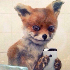 Александр Гаврилюк, 07.12.1988, Ставрополь