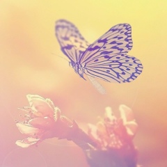 Татьяна Гусак, 22.04, Киев