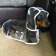 Иван Прохоренко, 09.02, Санкт-Петербург