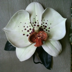 Ольга , 07.05.1971