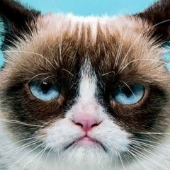 Булат Гимадеев, 04.03.1988, Казань