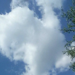 Евгений Гордеев, Чебоксары