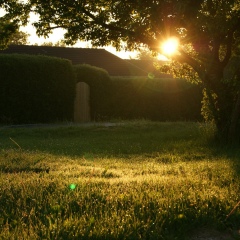 Абу Абдиллях, 04.07.1994, Бишкек