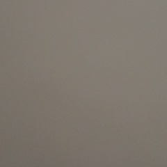 Катя Гончарова, Киев