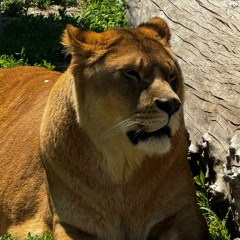 Katya Sevost'yanova, Алматы