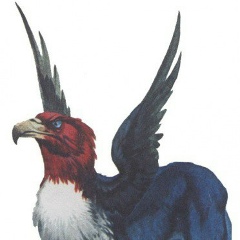 Кирилл Ika, 26.08, Москва