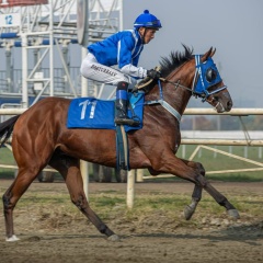 Кайрат Доктурбаев, Краснодар