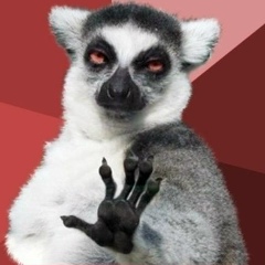 Алексей Шестаков, 28.02.1989, Днепр (Днепропетровск)