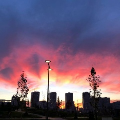 Дмитрий Петухов, Москва