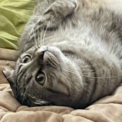 Денис Криль, 23.09.1988, Озёры