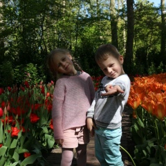 Vasile Penteleiciuc, 08.12, Bruxelles