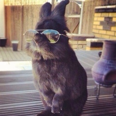 Сергей Радаев, 21.09.1993, Алматы