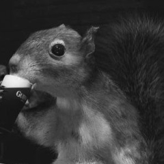 Макс Белкин, 05.02, Иркутск