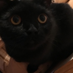 Zhanna M, Алматы