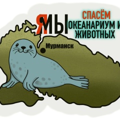 Антон Кузьмин, 17.07.1986, Мурманск