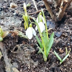 Николай Васильев, 25.07.1979, Костомукша