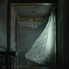 Василиса Ежова, Санкт-Петербург