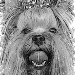 Кристина Нейман, 06.07, Heraklion