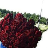 Владик Насрулаев, 28.04, Санкт-Петербург