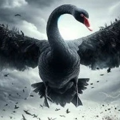 Erfan Zeytullayev, 28.11, Симферополь