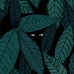 Дмитрий Сокольников, 18.08, Астана