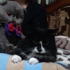 Дилара Шилкина, 22.08.1963