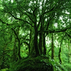 Ильдар Галимов, 01.08.1986, Казань