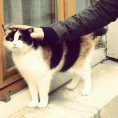 Иван Еремин, 17.09.1986, Краснодар