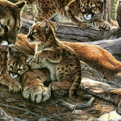 Виктория Скиба, 03.09.1980, Астана